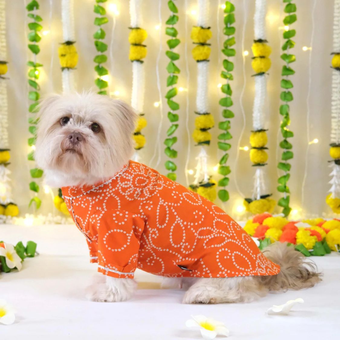 Traditional Dog Kurta | Cotton Outfit | Festive Dog Wear for Celebrations