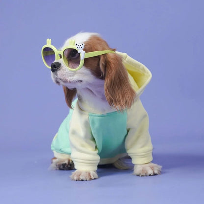 Dog Sweatshirt | Dog Stylish Wear for Winter and Cold Weather