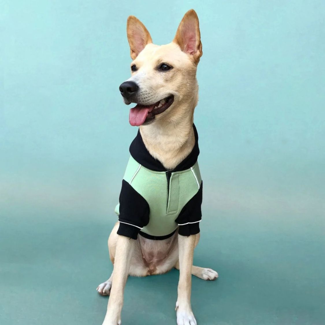 Dog Sweatshirt | Dog Winter Were with Hood and Fleece