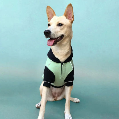 Dog Sweatshirt | Dog Winter Were with Hood and Fleece