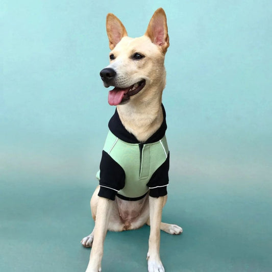 Dog Sweatshirt | Dog Winter Were with Hood and Fleece