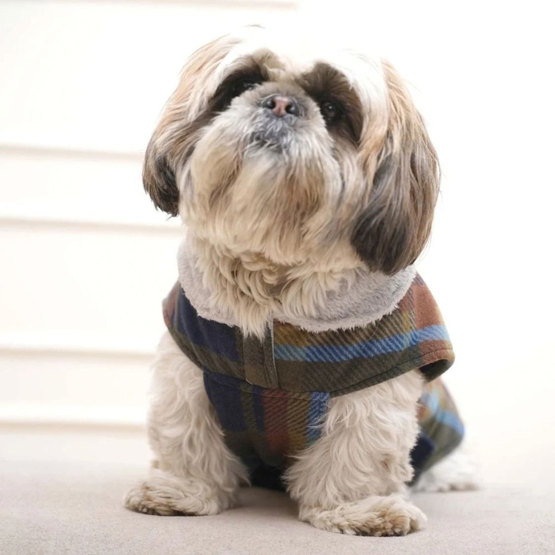 Dog Jacket | Dog Winter Clothing for Cold Weather - Checkered