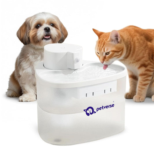 Infographic showcasing the package contents of a pet water fountain, including the tank, filter, pump, and tray.