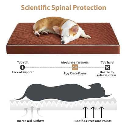 Orthopedic Memory Foam Dog Bed Waterproof Washable Anti-Slip Pet Bed (Brown)