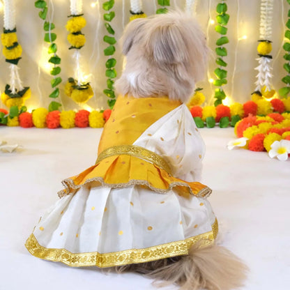 Dog Dress With Dupatta | Pet Festive Wear for Events - Yellow