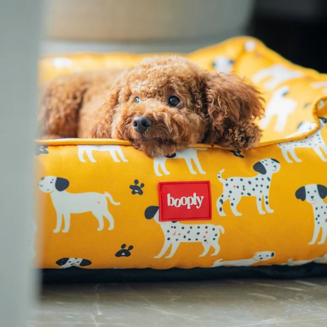 Dog Bed | Pet Bed Soft Cushioned for Cozy Rest -Sunshine Snooze
