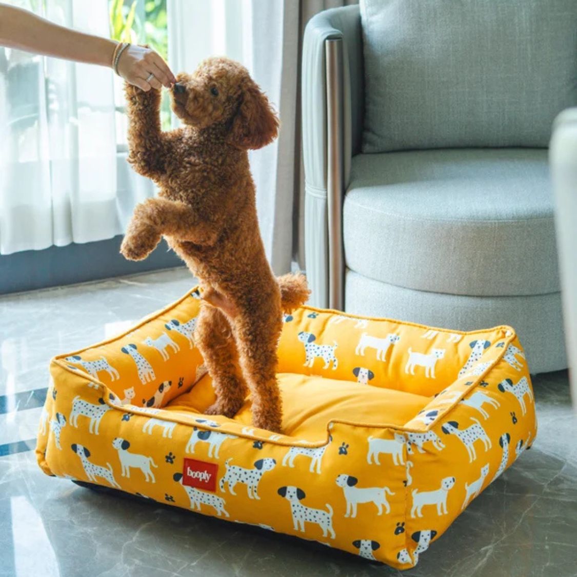Dog Bed | Pet Bed Soft Cushioned for Cozy Rest -Sunshine Snooze