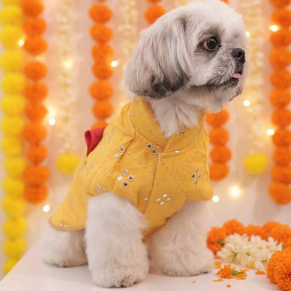 Sunshine Smiles Kurta for Dogs – Stylish Festive Wear for Pets