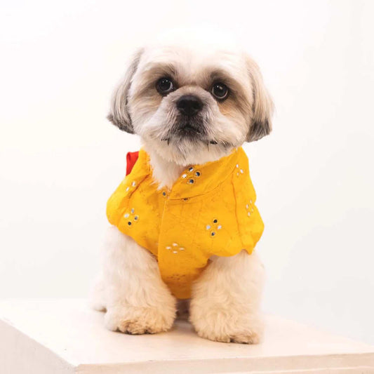 Sunshine Smiles Kurta for Dogs – Stylish Festive Wear for Pets