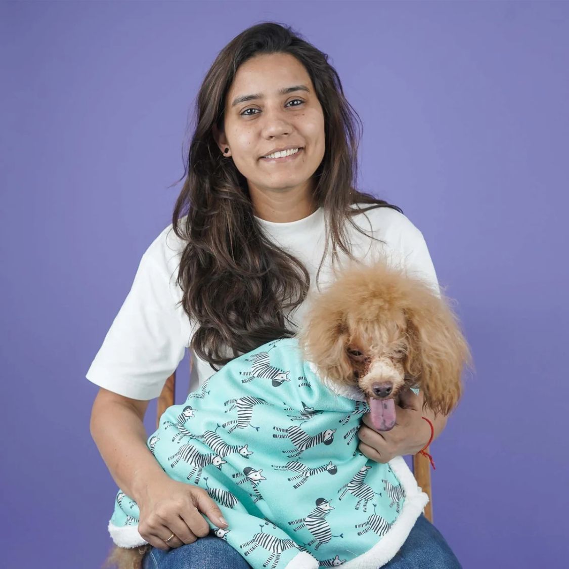 zebra dog blanket