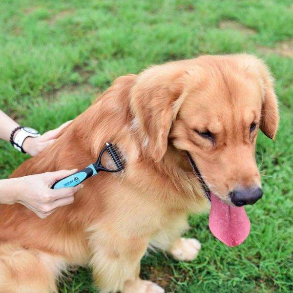Hank Pet Safe Dematting Comb