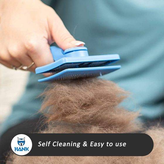 Self Cleaning Brush For Pet