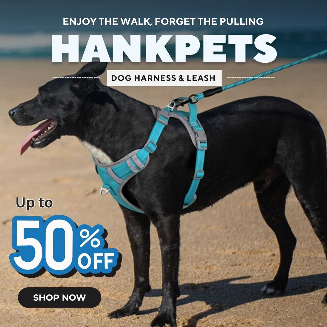 Hank Dog Harness & Leashes