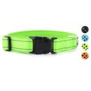 Hank Neon Green Dog Collar