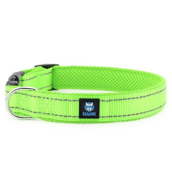Hank Neon Green Dog Collar