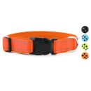 Hank Dog Collar