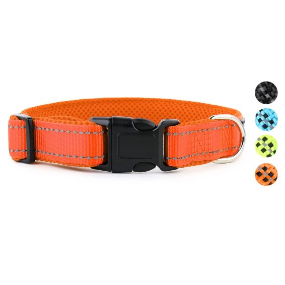 Hank Dog Collar