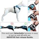 Quick Release Buckle Dog Harness