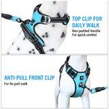 No Pull Dog Harness