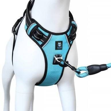 Hank Cyan Blue Dog Harness