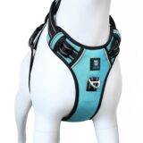 Hank Dog Harness Blue