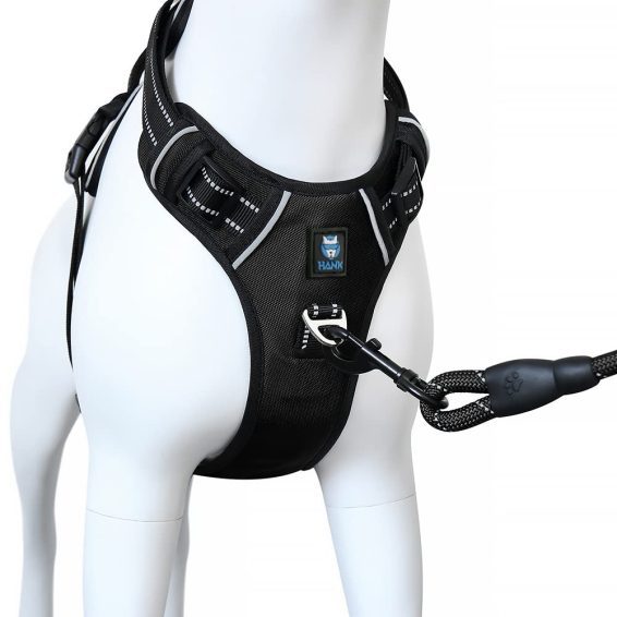 Hank Black harness for dog