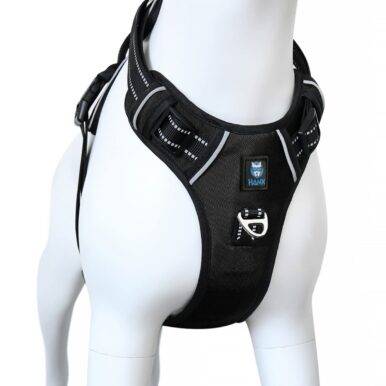 Hank Dog Harness Black