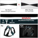 Hank Cyan Blue Dog Harness