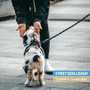 Hank Leash Black For Dog