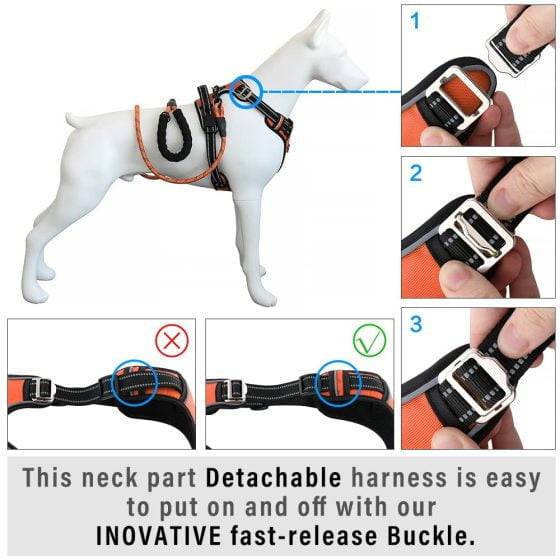 Hank Neon Orange Harness For Dog