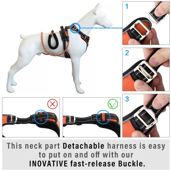 Hank Neon Orange Harness For Dog 6