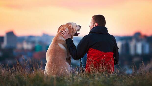 Man Sitting With His Dog-Carousel HankPets