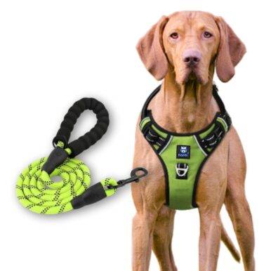 Dog Harness & Leash Green