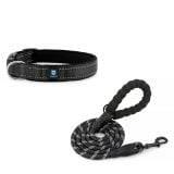 Black Dog Leash & Collar
