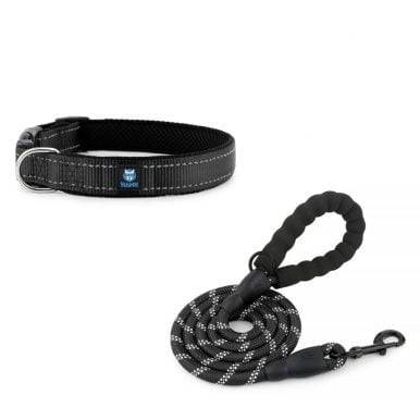 Black Dog Leash & Collar