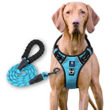 Dog Harness & Leash Cyan Blue