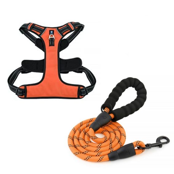 Orange Dog Harness
