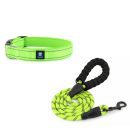 Green Dog Leash