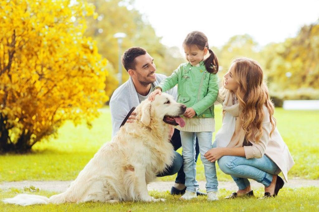 HankPets - Dog With Family