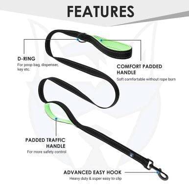 Hank green Leash For Dog