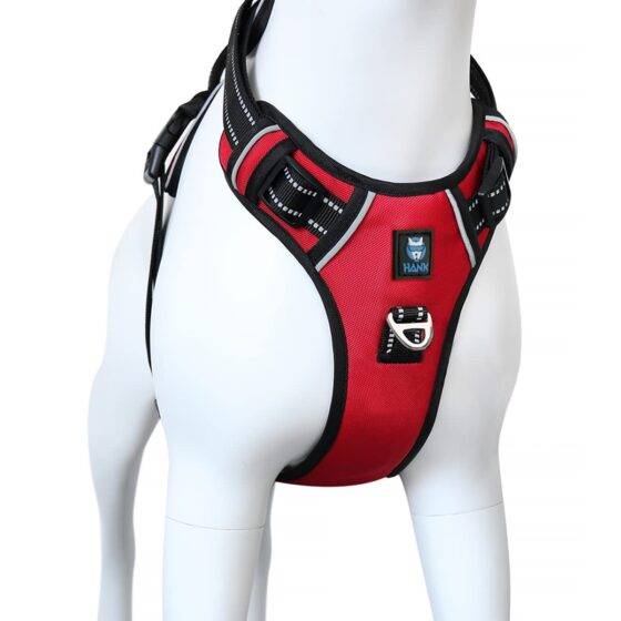 Hank Red Dog Harness