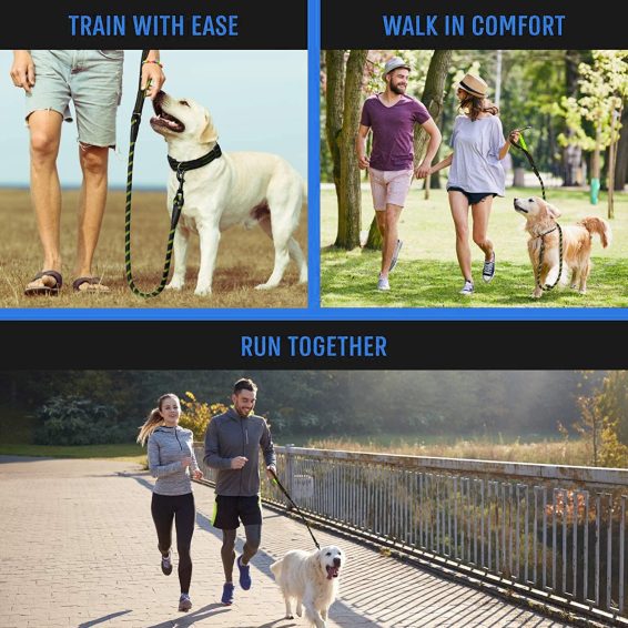 Hank Leash For Dog