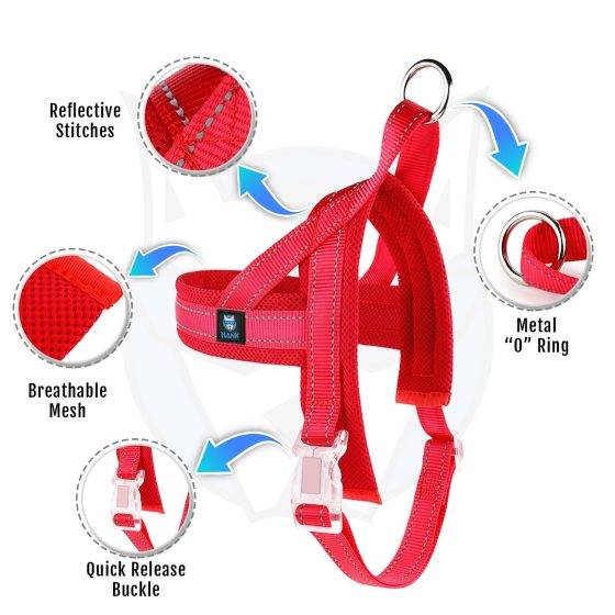 Hank Red Harness Quick Fit
