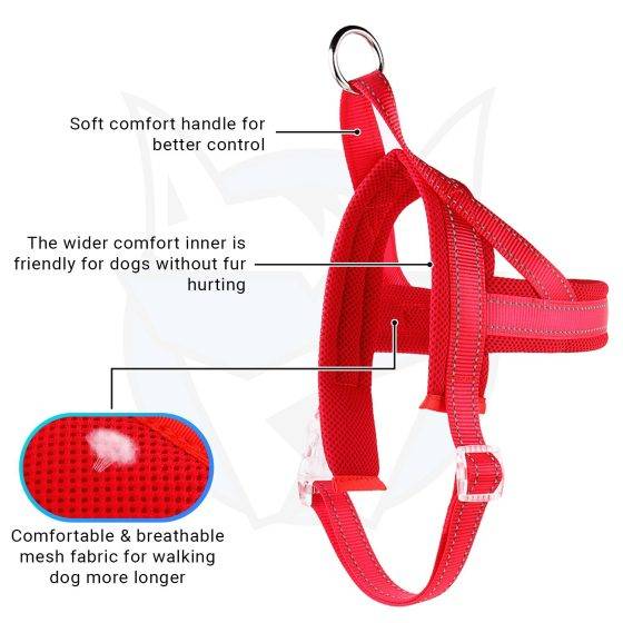Quick Fit Hank Red Harness