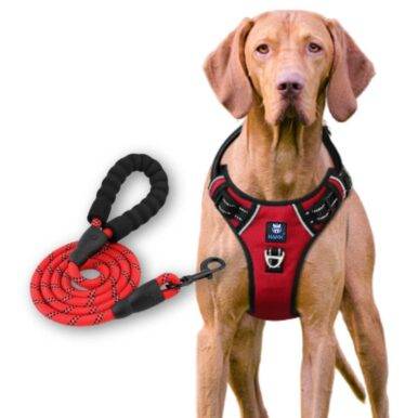 Dog Harness & Leash Red