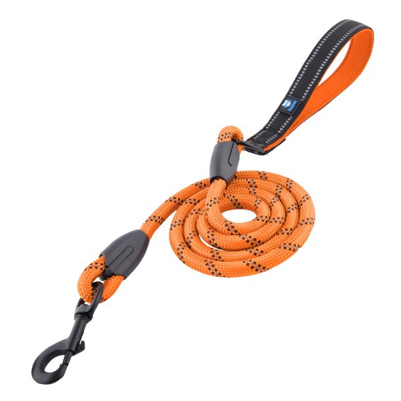 Dog Leash Orange
