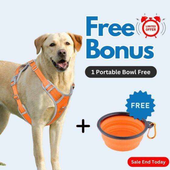 Dog Harness Orange