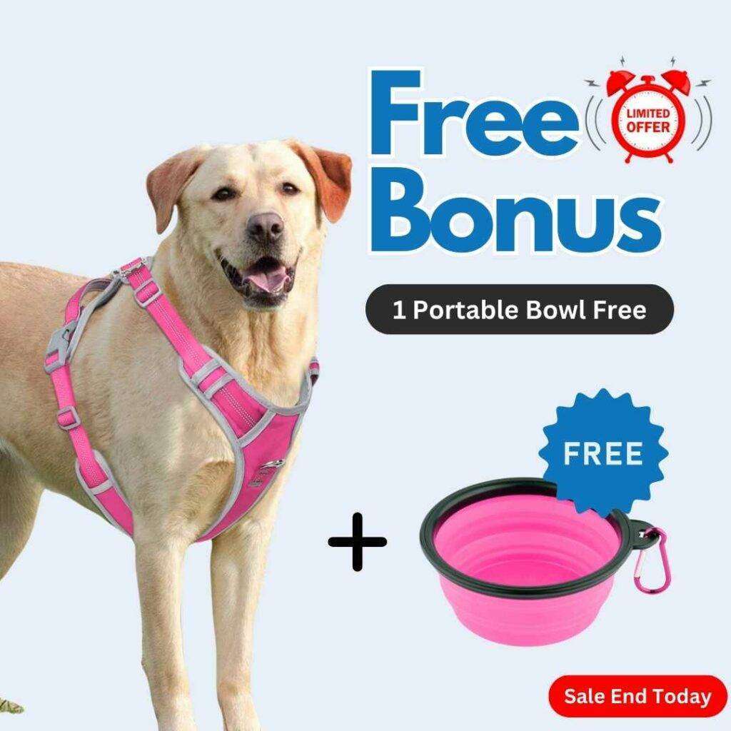 Dog Harness Pink