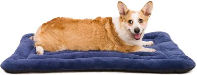 Pet Matt HANK