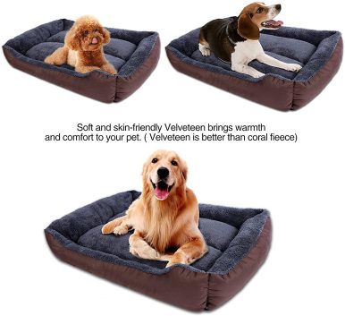 HANK - Dog Beds